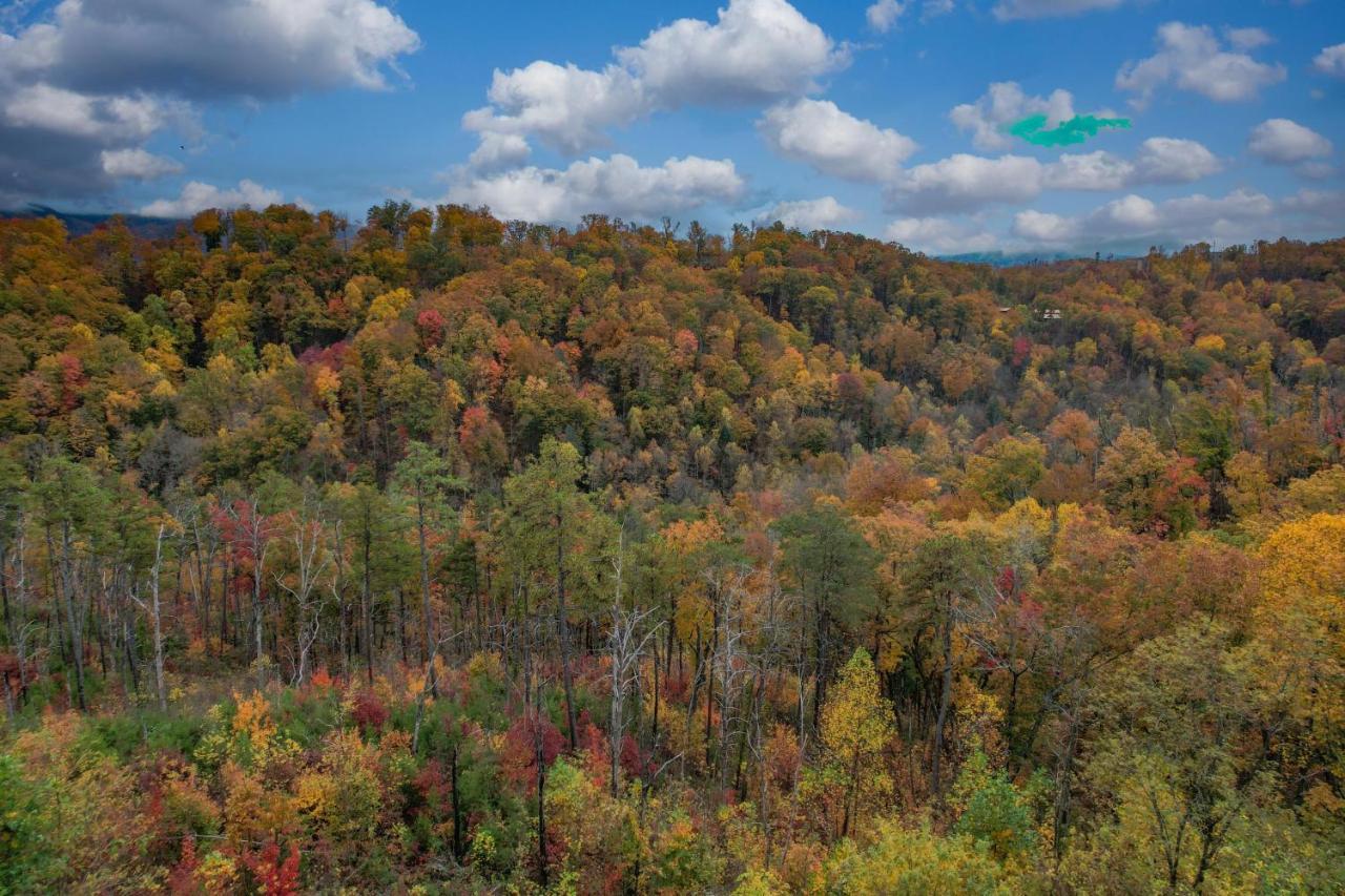 The Overlook - '21 Cabin - Gorgeous Unobstructed Views - Fire Pit Table - Gamerm - Hottub - Xbox - Lots Of Bears Gatlinburg Exteriör bild
